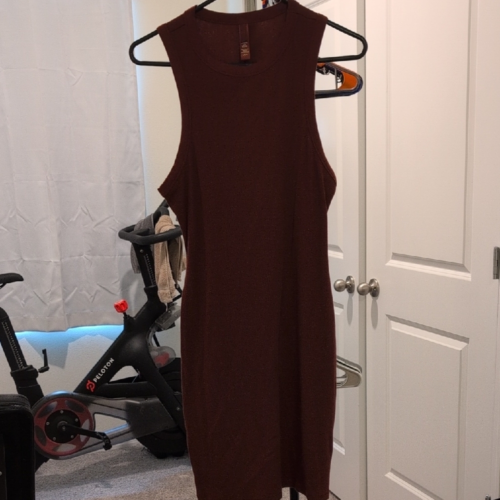 Sleeveless Red/Burgundy Dress